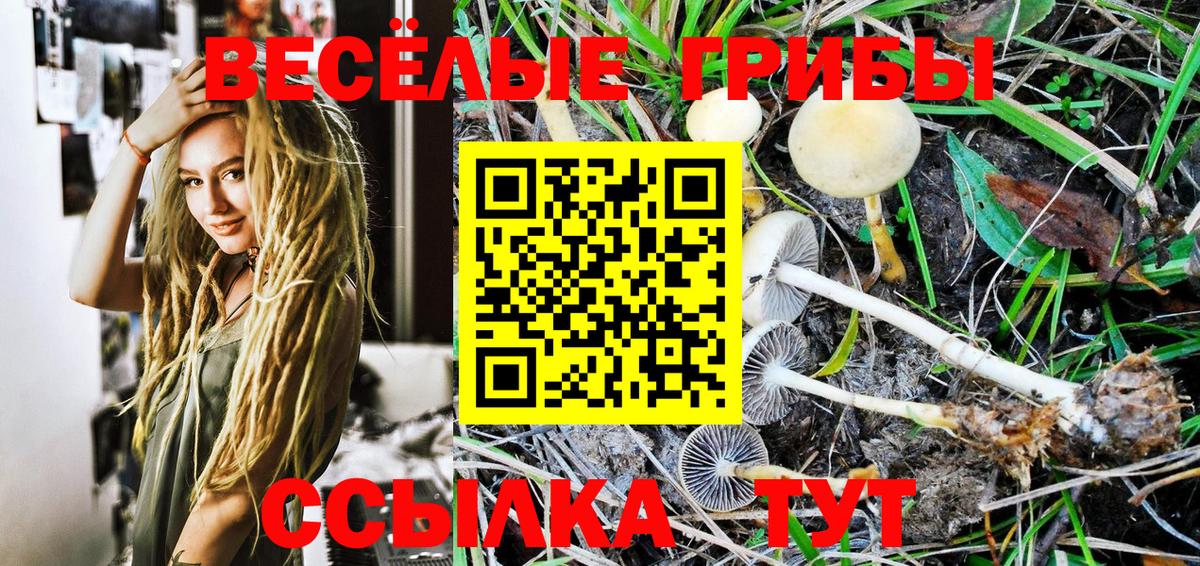 Алапаевск  Псилоцибиновые грибы Psilocybine cubensis  Псилоцибиновые грибы мицелий  Вход с VPN 